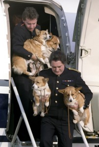 os corgis da rainha