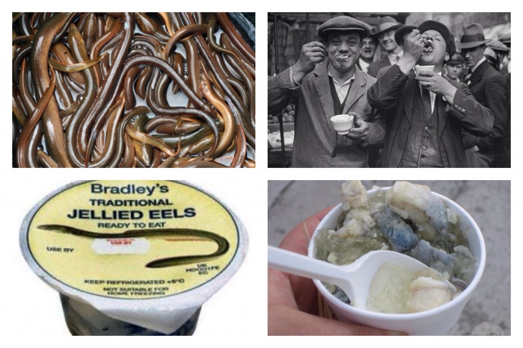 jellied eel